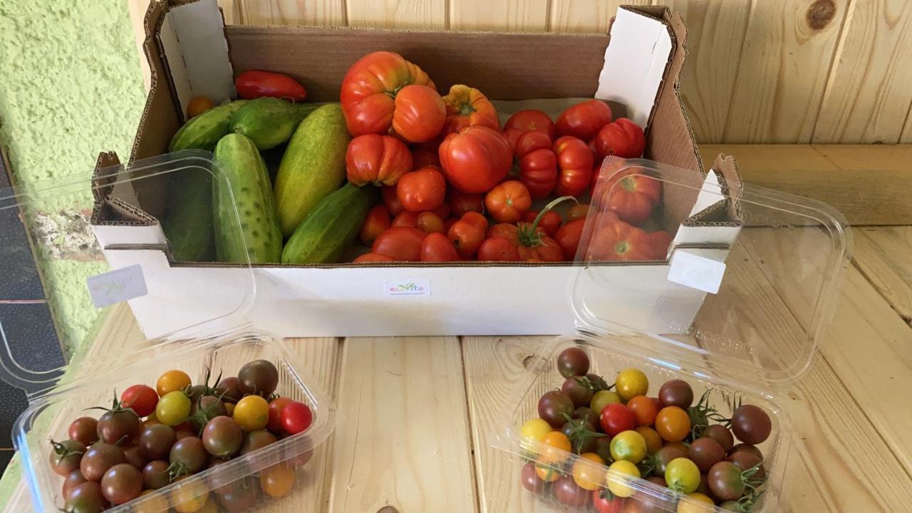 Ecovita Agri-Glamping サン・ヴィート エクステリア 写真