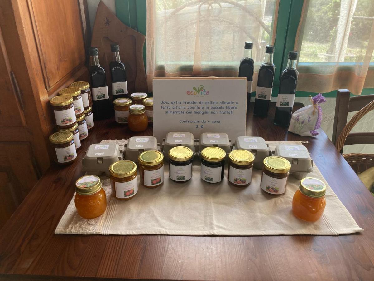 Ecovita Agri-Glamping サン・ヴィート エクステリア 写真
